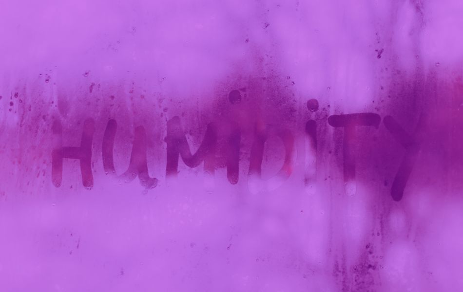 Umidità in condominio: chi paga davvero?